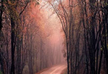 上海队成功防守，战胜强大对手