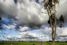 门兴失利，遗憾无缘欧冠四强