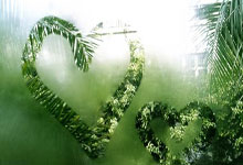 灰狼小前锋赢得周最佳球员，打破纪录