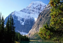 意甲比赛场场精彩，观众目不转睛